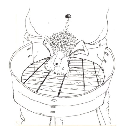 Barbacoa. ilustración Pablo Peña