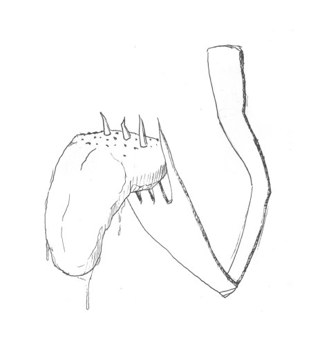 lengua. Ilustración de Pablo Peña